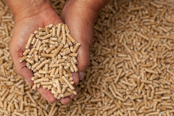 Pellets de bois dans des mains Pellets de bois dans des mains